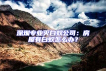 深圳專業滅白蟻公司：房屋有白蟻怎么辦？